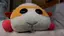 むらっきーのプロフィール画像