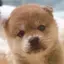 光のプロフィール画像