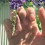 きゅでのプロフィール画像