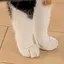 みあのプロフィール画像