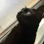 岩ちゃんのプロフィール画像