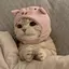𝓝のプロフィール画像