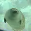はるのプロフィール画像