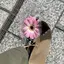 Mashiのプロフィール画像