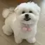 haのプロフィール画像