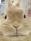 みそらのプロフィール画像