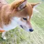 あやのプロフィール画像