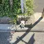 futureのプロフィール画像