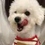 もこのプロフィール画像