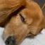 aのプロフィール画像