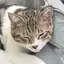 ぽのプロフィール画像