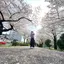 まやのプロフィール画像