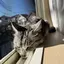 mimimiのプロフィール画像
