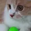りおのプロフィール画像
