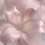 愛純のプロフィール画像