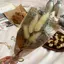 サのプロフィール画像