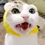 maaのプロフィール画像