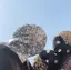 saeのプロフィール画像
