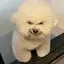 花のプロフィール画像