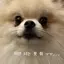 mのプロフィール画像