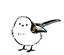 ソルトのプロフィール画像