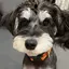 LilLilのプロフィール画像