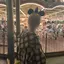 リョウのプロフィール画像