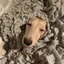 なぁしゃんのプロフィール画像