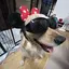 かやのプロフィール画像