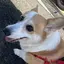 ゆーのプロフィール画像