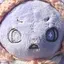 ♡のプロフィール画像