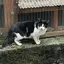 kのプロフィール画像