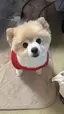 きよのプロフィール画像