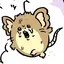いぬのプロフィール画像