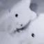 あむのプロフィール画像