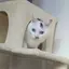 みーのプロフィール画像