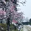 こんどうのプロフィール画像