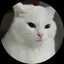ユーコのプロフィール画像