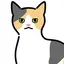 Rのプロフィール画像