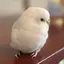リサのプロフィール画像