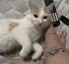 犬飼海音のプロフィール画像