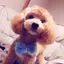 mbkのプロフィール画像
