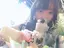 黄な子のプロフィール画像