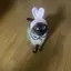 みわのプロフィール画像