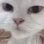 ハナのプロフィール画像