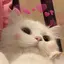 Sのプロフィール画像