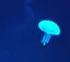 Satのプロフィール画像