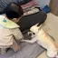 遥郁のプロフィール画像