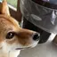 ゆうかのプロフィール画像