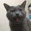 鈴のプロフィール画像